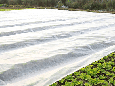 non woven fabric used in agriculture
